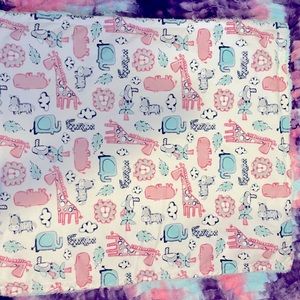 Pink and aqua baby minky blanket
